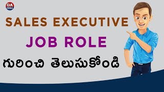 What Is Sales Executive Job Role [upl. by Yvon]