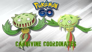 CARNIVINE COORDINATES  POKEMON GO [upl. by Elysee892]