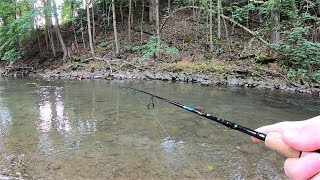 TROUT Fishing TIPS  Trout Fishing with Spinners in Creeks amp Streams [upl. by Chesney]