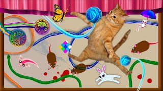 JUEGOS MIXTOS PARA GATOS EN 1 VIDEO  Ratones estambre etc en pantalla ENTRETENIMIENTO DE GATOS [upl. by Ramar161]