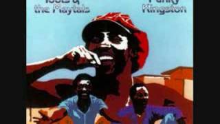 Toots amp The Maytals  Time Tough [upl. by Chaffinch]