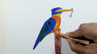 How to Draw Kingfisher Step by Step  Drawing for Beginners  Easy Drawing [upl. by Hennebery]