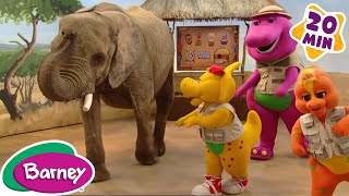 Barney  The Good Egg Kenya  Full Episode  Season 13 [upl. by Aura]