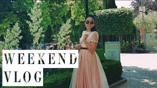 Mongolian Students in Vienna  VLOG 31  AUSTRIAD HERHEN SURAH WE [upl. by Ingemar]