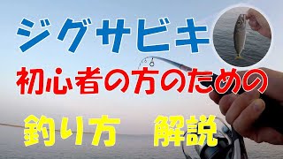 【ジグサビキ】やり方解説。初心者の方必見簡単に釣れるジグサビキの釣り方動画。 [upl. by Clapper]