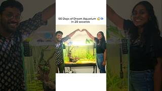 60 Days of Hardwork in 20 seconds plantedaquarium fishtank tamil timelapse [upl. by Amis]