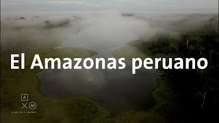 Mi primera vez en el Amazonas  Alan por el mundo Perú 13 [upl. by Naesar]