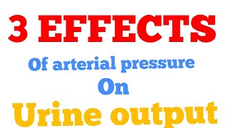 3 Factors contributing to pressure Natriusresis and Diuresis  Renal lec 105 [upl. by Healion433]