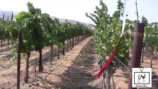 Learn About Livermore Valley Wine Tours and Tastings [upl. by Ahselaf]