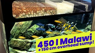 Setting up an 450 litre African Cichlid Aquarium with 150 cm overhead sump  Full set up video [upl. by Donelu217]