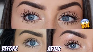 HOW TO GROW YOUR EYELASHES SO LONG  MIRACLE GROW FOR REAL  LOOK AT THE LENGTH OF MINE [upl. by Annaoj943]