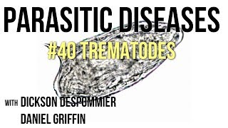 Parasitic Diseases Lectures 40 Trematodes [upl. by Ledah]