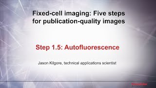 15 Autofluorescence–Fixed cell imaging 5 steps for publicationquality images [upl. by Barcot]