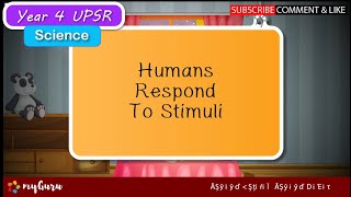 Year 4  Science UPSR  Human Sense Organs and Response to Stimuli [upl. by Muiram]