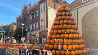 What to expect at the 2023 Circleville Pumpkin Show [upl. by Omora4]