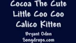 FUNNY Cat Song Cocoa the Kitten [upl. by Anyad]