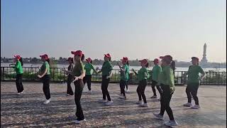 Let Me Be There  Line Dance  Beginner  Line Dance Koni Jambi [upl. by Meraree454]