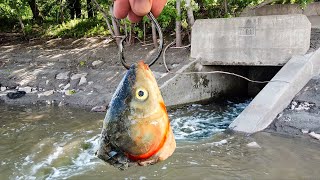 This HIDDEN Spillway was Hiding a Monster Biggest of the YEAR [upl. by Kandy]