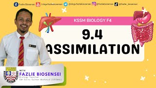 KSSM BIOLOGY F4  ASSIMILATION [upl. by Clemen]