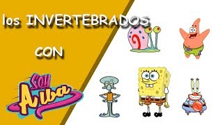 Los animales INVERTEBRADOS para niños primaria con Bob Esponja [upl. by Pinter733]