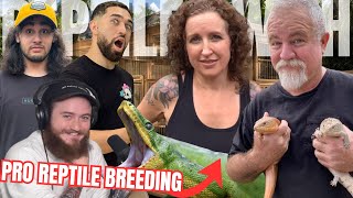 Ron St Pierre amp Heather Moye on Breeding Reptiles  Reptiles With Fairytail Dragons Podcast S05EP30 [upl. by Jaynes170]