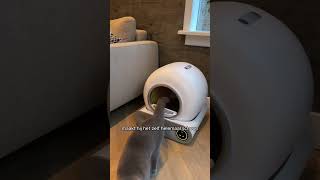 ZEDAR K900  Automatische Kattenbak katten kattenbak automatischekattenbak Zedark900 [upl. by Essile]