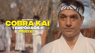 COBRA KAI  RESUMEN TEMPORADA 6 PARTE 1 en 9 minutos [upl. by Oelc26]