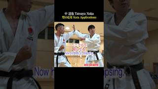 Use the kata ”Heian Nidan” Application【Tatsuya Naka】 [upl. by Buxton]