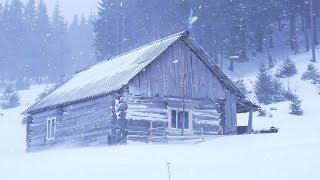 hiding in an abandoned log cabin during a snowstorm [upl. by Hsitirb]