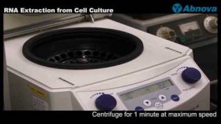 RNA Extraction from Cell Culture [upl. by Friedberg]