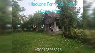 1 HECTARE FARM FOR SALE IN GENSAN  CONEL [upl. by Ittap]