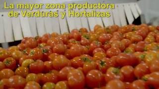 Don Simón  Gazpachos y Salmorejo  Planta de Almería [upl. by Eninaej]