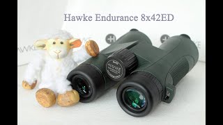 8x32 vs 8x42 Binoculars  Which is Best [upl. by Ajet]