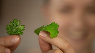 4 minute garnish idea flat fried LEAFY HERBS [upl. by Eltsyrc]