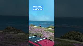 Monterey California 🇺🇸 [upl. by Christis567]