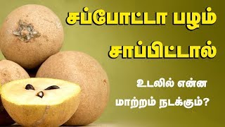 Sapota Fruit Health Benefits  Chikoo Fruit  Tamil Health Tips [upl. by Cook]