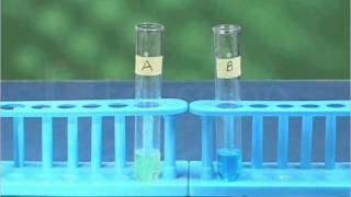 Reaction of iron nails with copper sulphate solution [upl. by Ilocin]