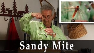 Randy Flynn Sandy Mite [upl. by Kandy]