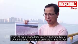 Rare Tidal Phenomenon in China Many Tides Meet Intersect amp Cross incredibleThings [upl. by Kirred]