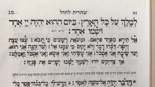 Tefilah 56 Al Tira  Ach Tzadikim Sung – תפילה 56 אל תירא מפחד פתאם אך צדיקים [upl. by Aem]