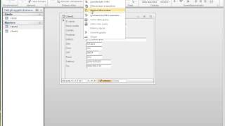 Filtri su maschera con Microsoft Access [upl. by Harikahs]