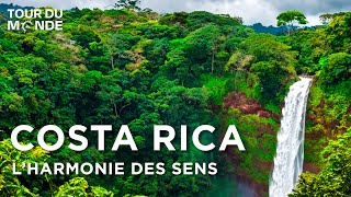 Costa Rica  Le joyau vert de lAmérique Centrale  Biodiversité  Documentaire voyage  AMP [upl. by Yanahc]