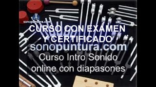 Formación Curso 0 online Intro Terapia Diapasones Resumen Examen y Certificado Sonopunturacom [upl. by Otnas46]