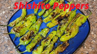 How To Cook Shishito Pepper Side Dish Recipe [upl. by Lilyan803]