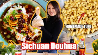 How to Make Silken Tofu from Scratch  Dou Hua Vegan [upl. by Nnaeinahpets]