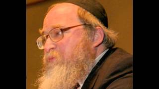 Treatment of the Seriously Ill Halachic Perspectives on the Terri Schiavo Case [upl. by Birgitta120]