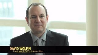 David Morgan Silver Investor Interview with Avino Silver TSX ASM [upl. by Maharg]