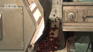 Grading Dates on Optyx® 6000 Laser  Camera Sorter [upl. by Duleba]