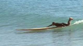 Tom Wenger surfs 16 ft Toothpick  Nathan Oldfield [upl. by Anirec]