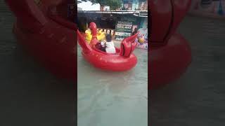 perahu Angsabebekangsashortvideosatumimpi [upl. by Sternick]